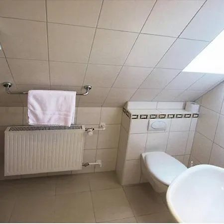 Braun 3* 빈터베르크